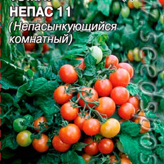 Томат Непасынкующийся Комнатный, 0,1 г