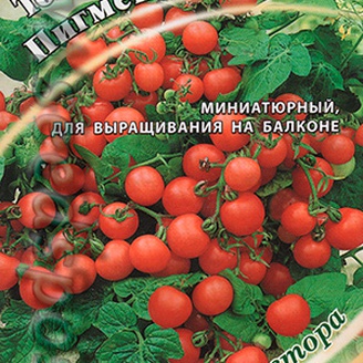 Томат комнатный Пигмей, 0,1 г