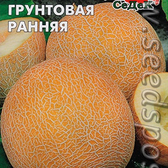 Дыня Грунтовая ранняя, 0,5 г