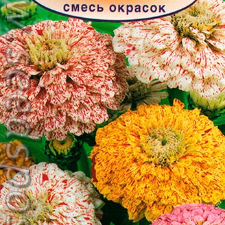 Цинния Карнавал, Смесь окрасок, 0,3 г