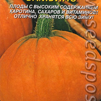 Тыква Бамбино, 1 г