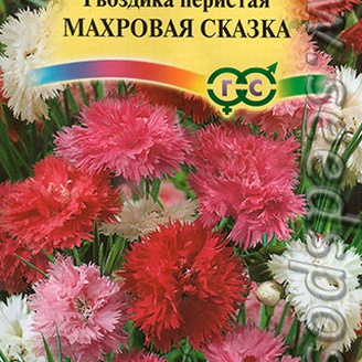 Гвоздика перистая Махровая Сказка, Смесь, 0,1 г