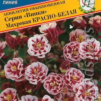 Аквилегия махровая Винки Красно-белая, 10 шт. Немецкая линия