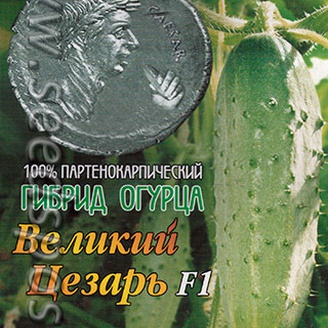 Огурец Великий Цезарь F1, 8 шт.