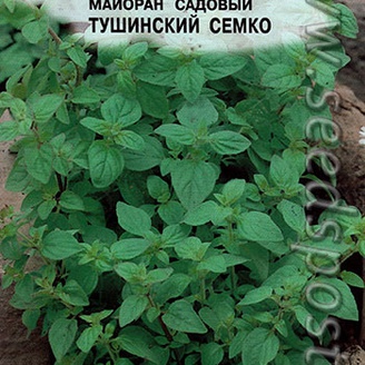 Майоран садовый Тушинский Семко, 0,2 г