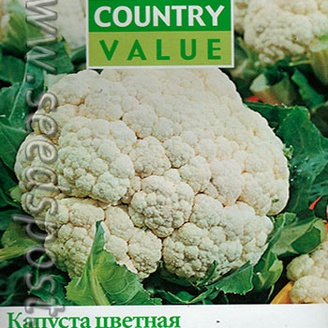 Капуста цветная Снежок, 100 шт.