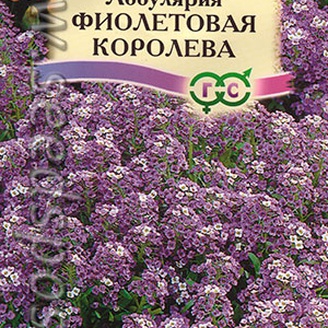 Лобулярия Фиолетовая королева, 0,2 г Сад ароматов