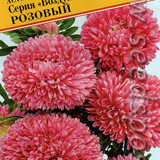 Астра китайская Воздушный шар Розовый, 0,1 г Немецкая линия