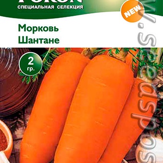 Морковь Шантане, 2 г