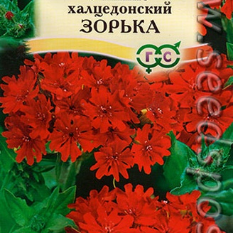 Лихнис халцедонский Зорька, 0,1 г