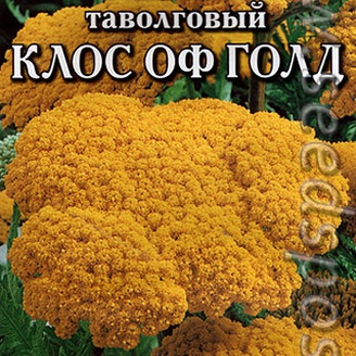 Тысячелистник таволговый Клос оф Голд, 0,05 г 