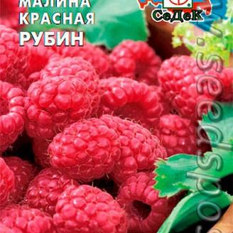 Малина красная Рубин, 0,05 г