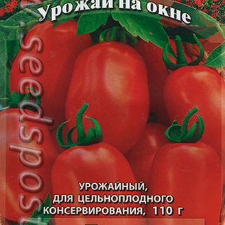 Томат Рокер, 0,1 г Урожай на окне