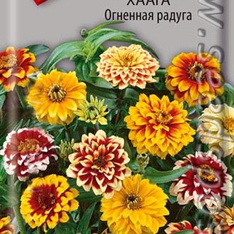 Цинния Хаага Огненная радуга, Смесь, 0,3 г