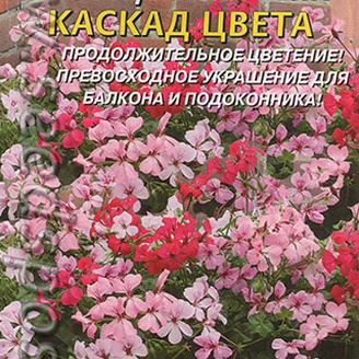 Герань плющелистная Каскад цвета, Смесь, 3 шт.