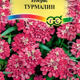 Иберис зонтичный Турмалин, 0,2 г