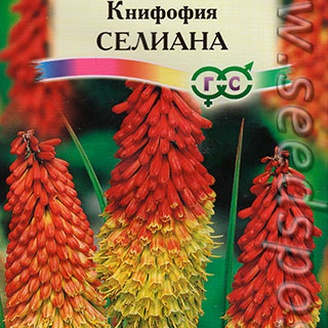 Книфофия ягодная Селиана, 0,1 г