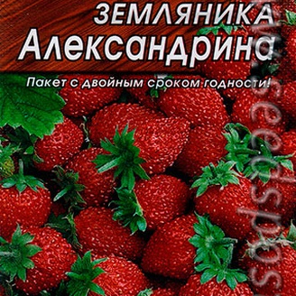 Земляника альпийская Александрина, 0,05 г Лидер