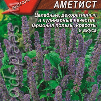 Мята мексиканская (лофант) Аметист, 0,05 г