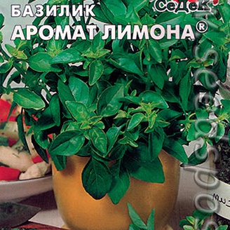Базилик Аромат Лимона (Для еды), 0,5 г Зеленый доктор