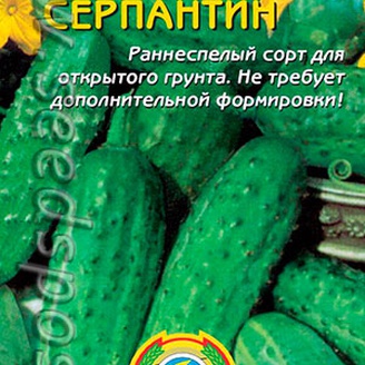 Огурец Серпантин, 12 шт.