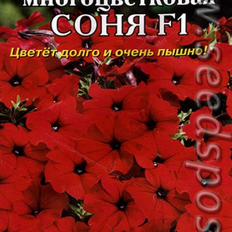 Петуния-мини многоцветковая Соня F1, 10 шт.