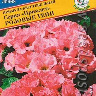 Примула Примлет Розовые тени, 5 шт.