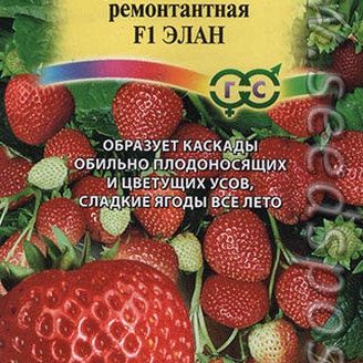 Клубника каскадная ремонтантная Элан F1, 5 шт. (Га)
