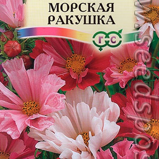 Космея Морская ракушка, 0,3 г