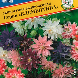 Аквилегия Клементина, Смесь, 5 шт.