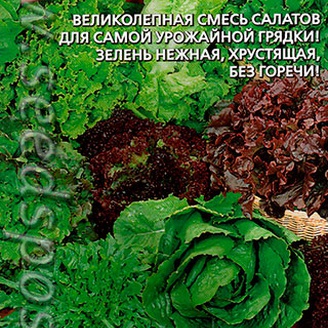 Салат Яркие витаминки, Смесь сортов, 0,5 г