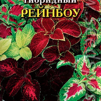 Колеус гибридный Рейнбоу, Смесь, 0,05 г