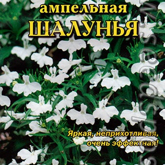 Лобелия ампельная Шалунья, 8 шт.