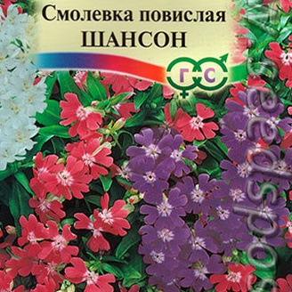 Смолевка повислая Шансон, 0,1 г