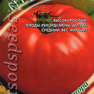 Томат Русский размер, 12 шт. Семена от автора