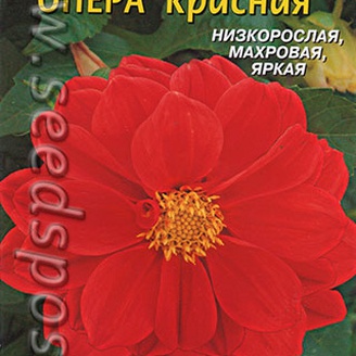 Георгина махровая Опера Красная, 11 шт.