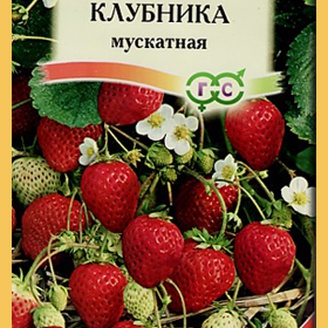 Клубника мускатная, 0,01 г