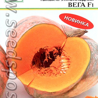 Тыква Вега F1, 5 шт.