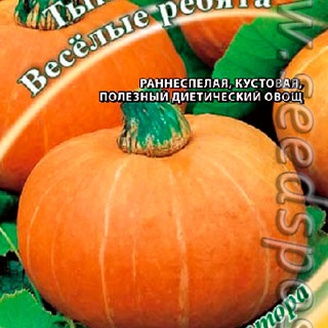 Тыква Веселые ребята, 1 г  Семена от автора