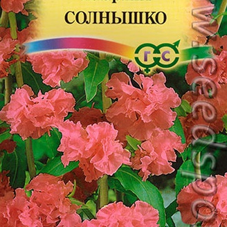 Кларкия ноготковая Солнышко, 0,1 г