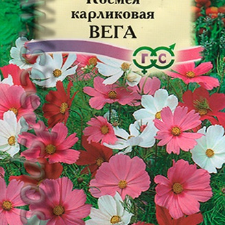 Космея Вега карликовая, Смесь, 0,5 г