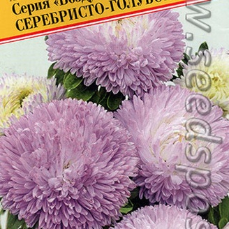 Астра китайская Воздушный шар Серебристо-голубой, 0,1 г Немецкая линия