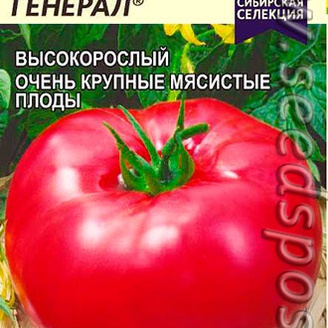 Томат Бравый Генерал ®, 0,05 г Сибирская Селекция!