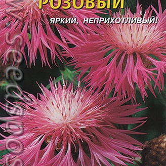 Василек многолетний Розовый, 10 шт.