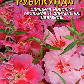 Годеция Рубикунда, 150 шт.