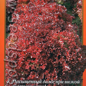 Салат листовой Рубиновое кружево - НК, 1 г Профи