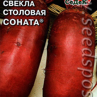 Свекла столовая Соната, 3 г