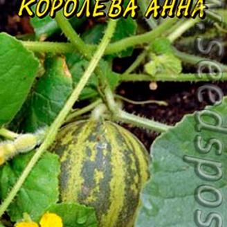 Огурдыня Королева Анна, 8 шт.