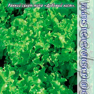 Салат листовой Фризол, 20 шт. Seminis