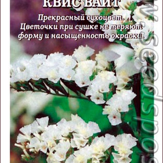 Статица Квис Вайт, 10 шт. PanAmericanSeed